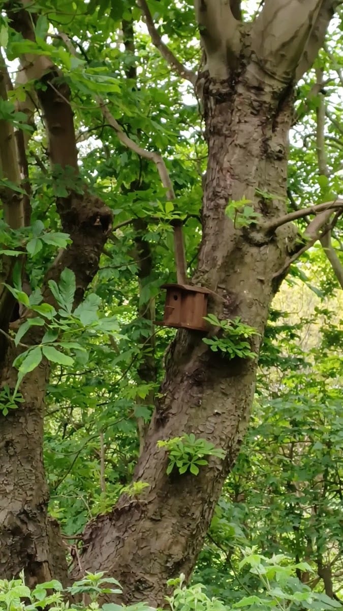 Kett's Heights, photo 2