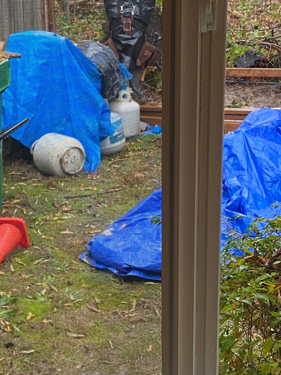 Citywide Property Management, photo 2