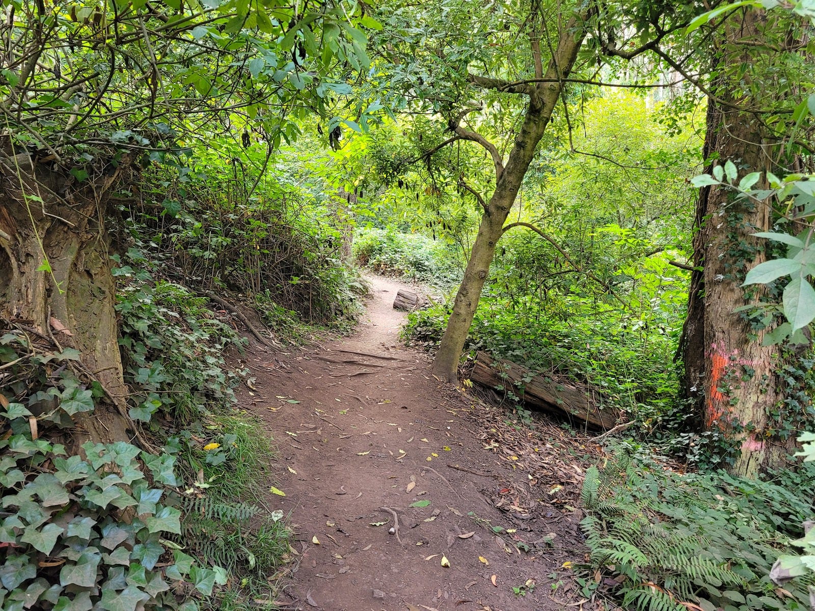 Historic Trail Trailhead