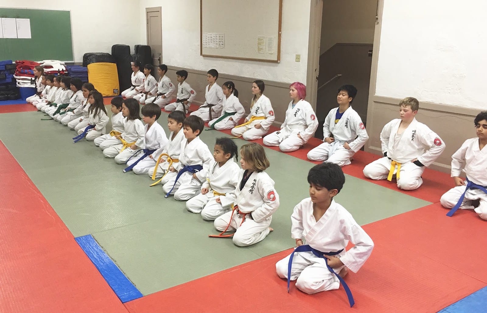 Enshin Karate, photo 2