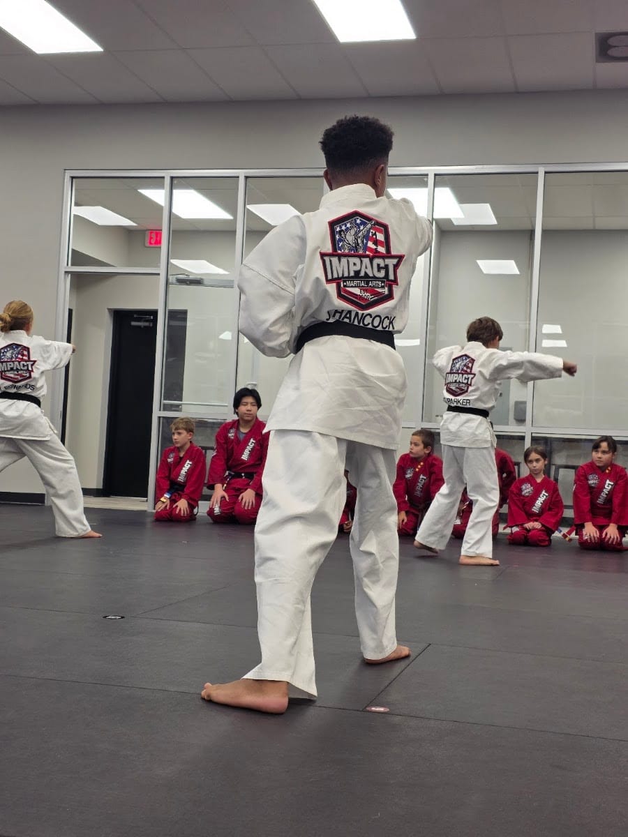 Impact Martial Arts - Little Rock, photo 4