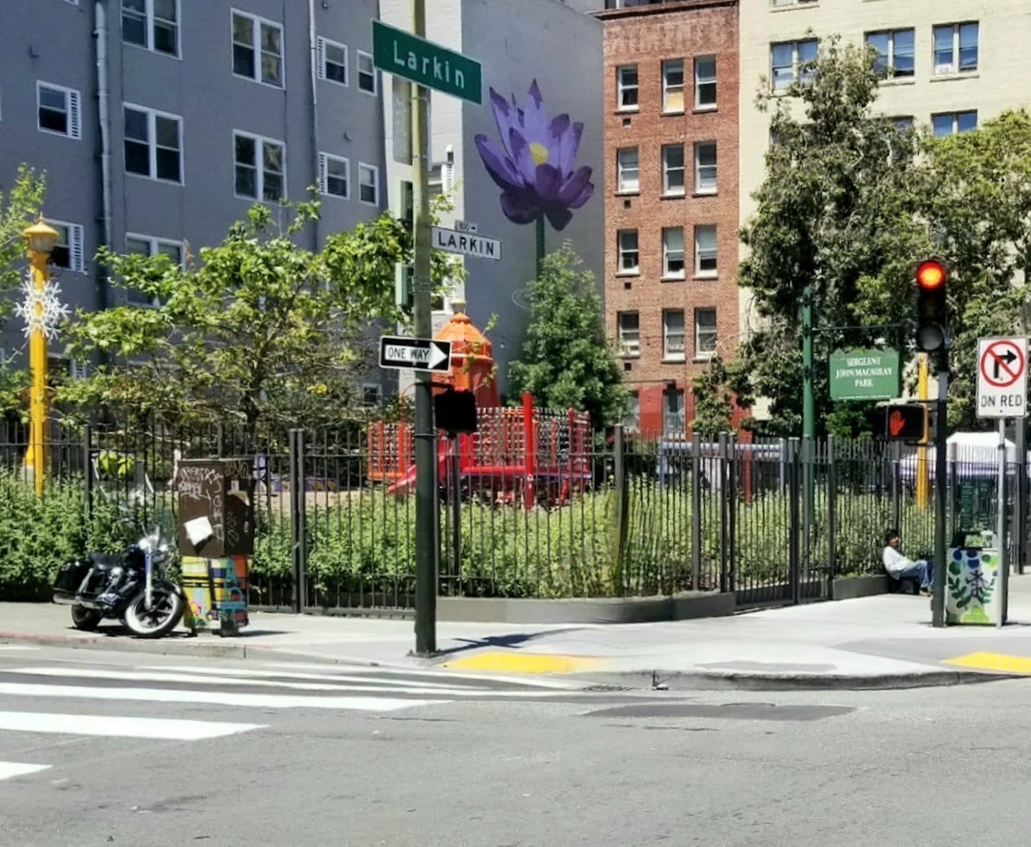 Sergeant John Macaulay Park, photo 3