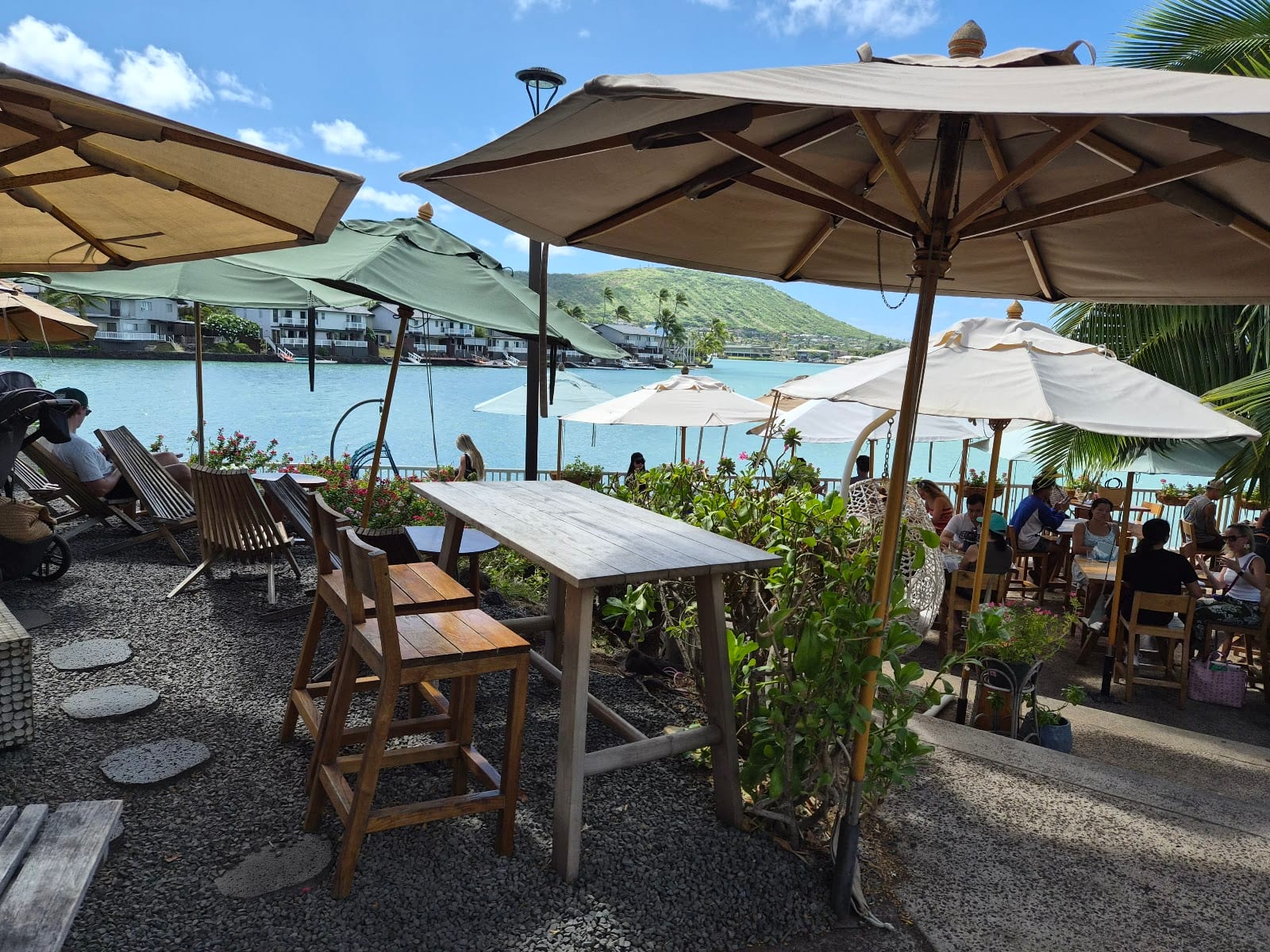 Island Brew Coffeehouse, photo 2