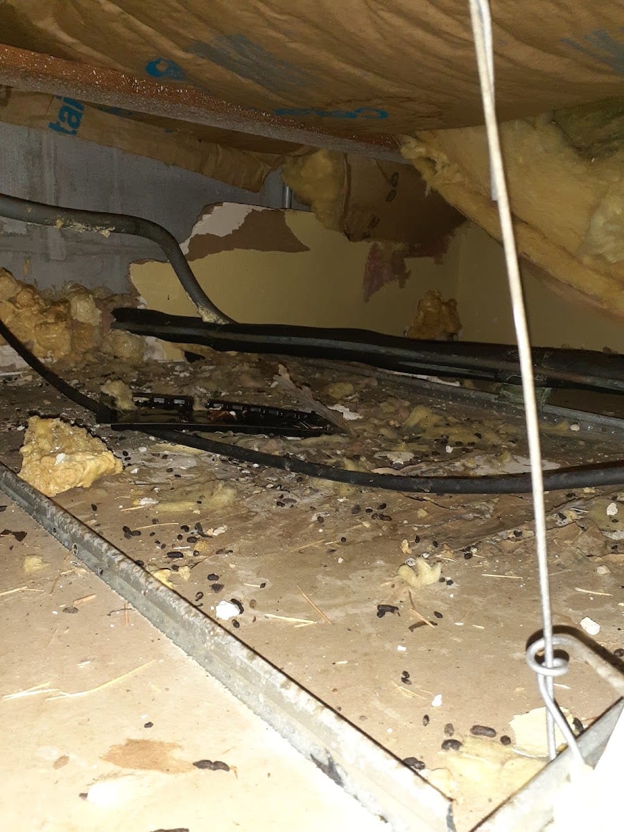 ALLIANCE PEST SERVICES, LLC., photo 3