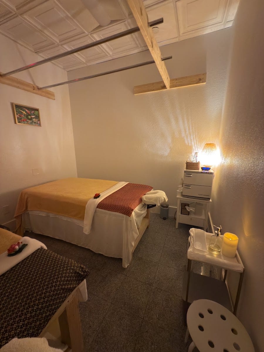 Deluxe Therapeutic Massage & Spa Houston, photo 2
