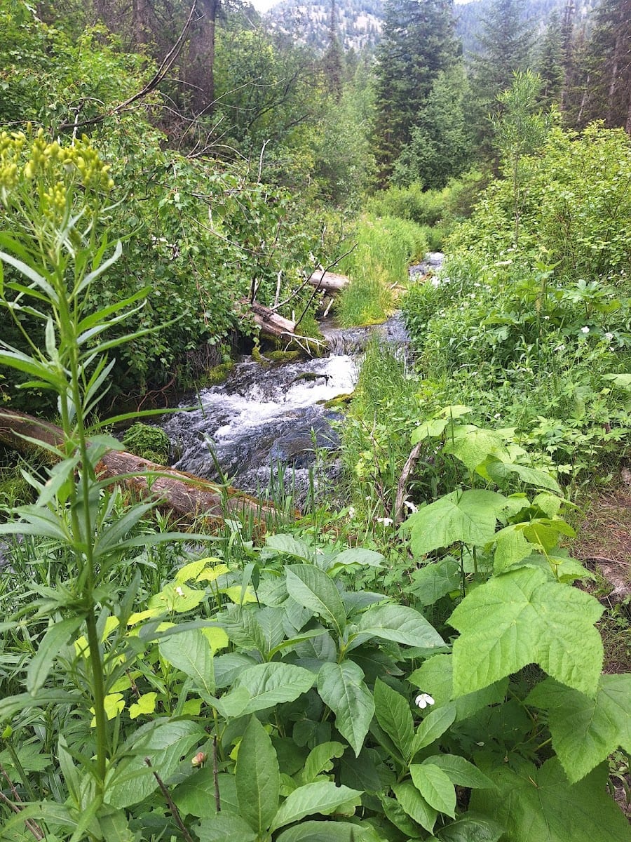 Middle Fork Waterfall, photo 2