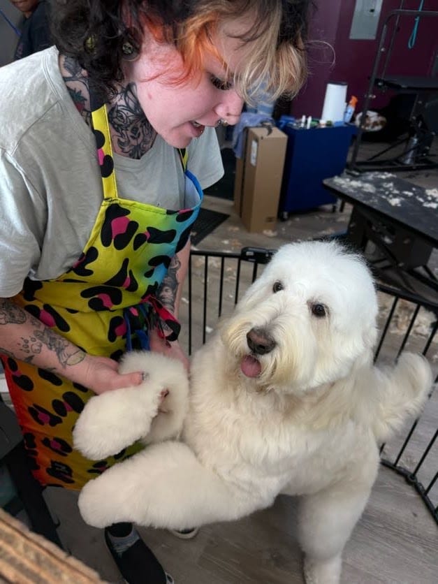 Meggo's Gentle Grooming, photo 2
