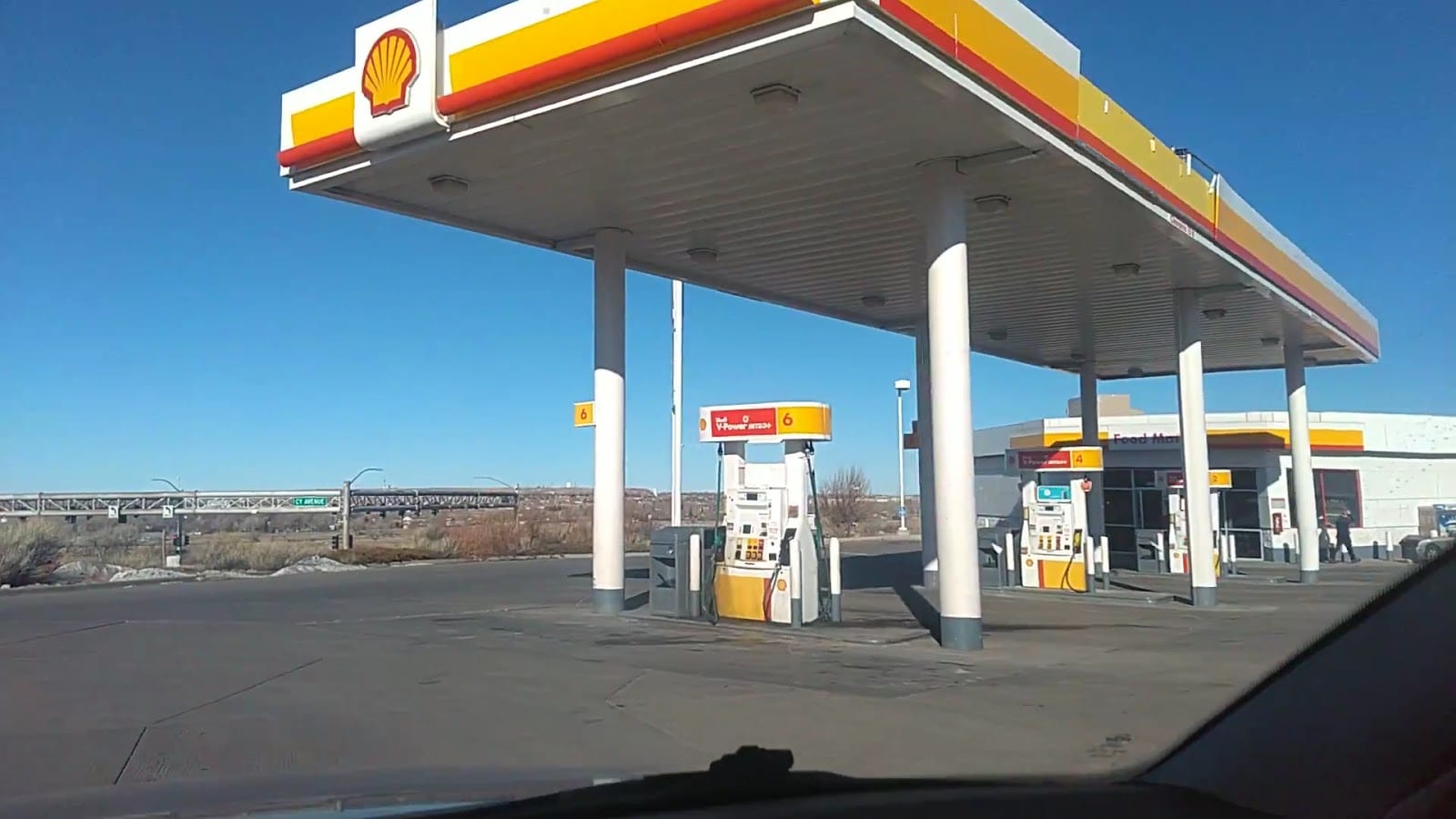 Shell, photo 3