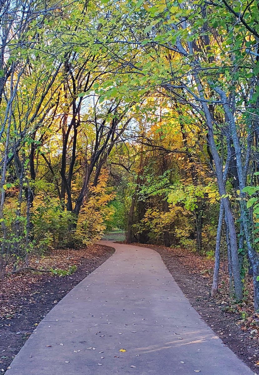 Frisco Commons Park Meadow