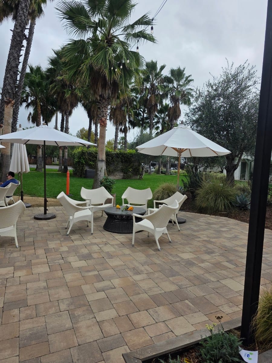 La Palmeraie Lounge, photo 3
