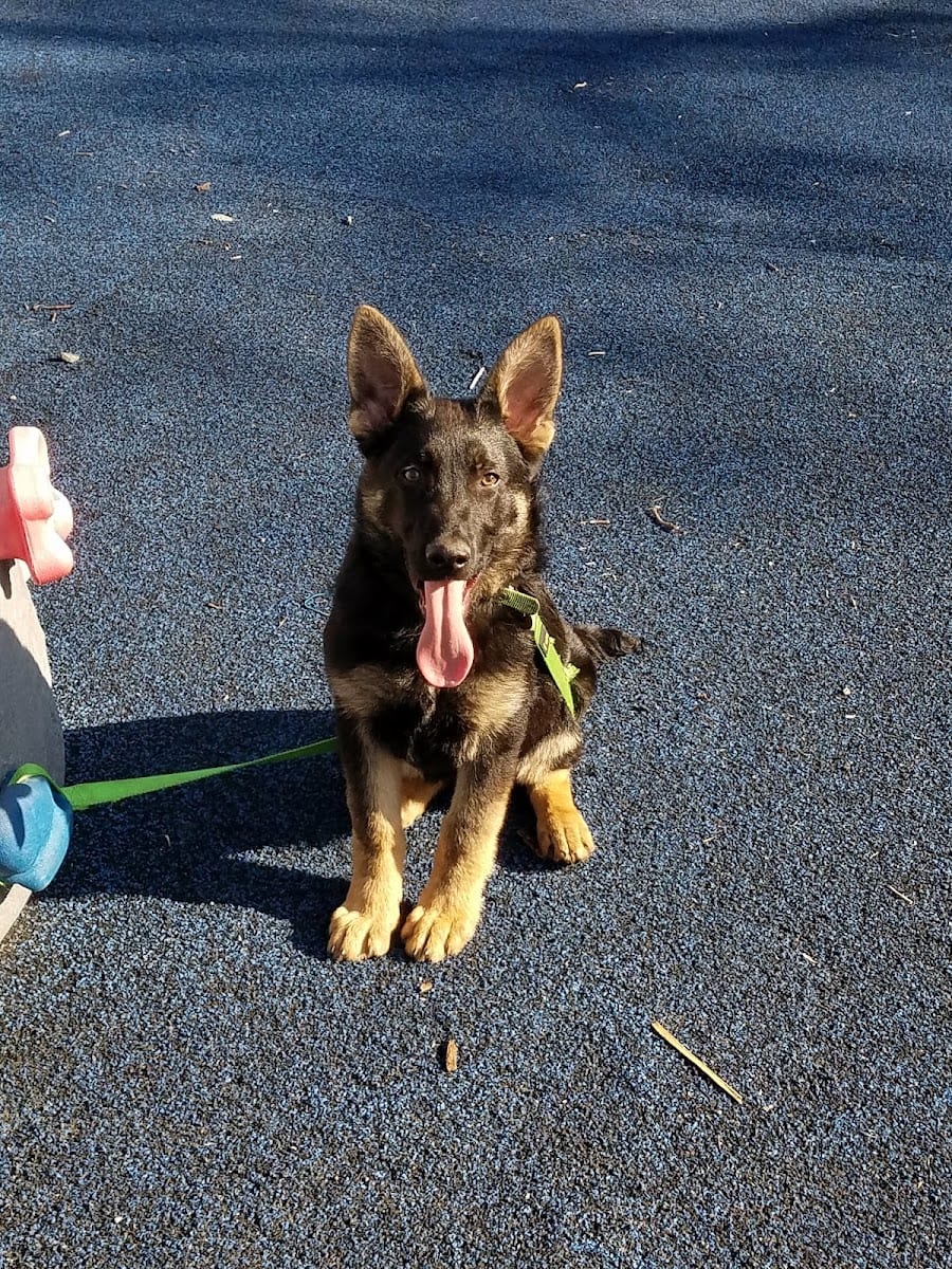 Boone Street Playlot