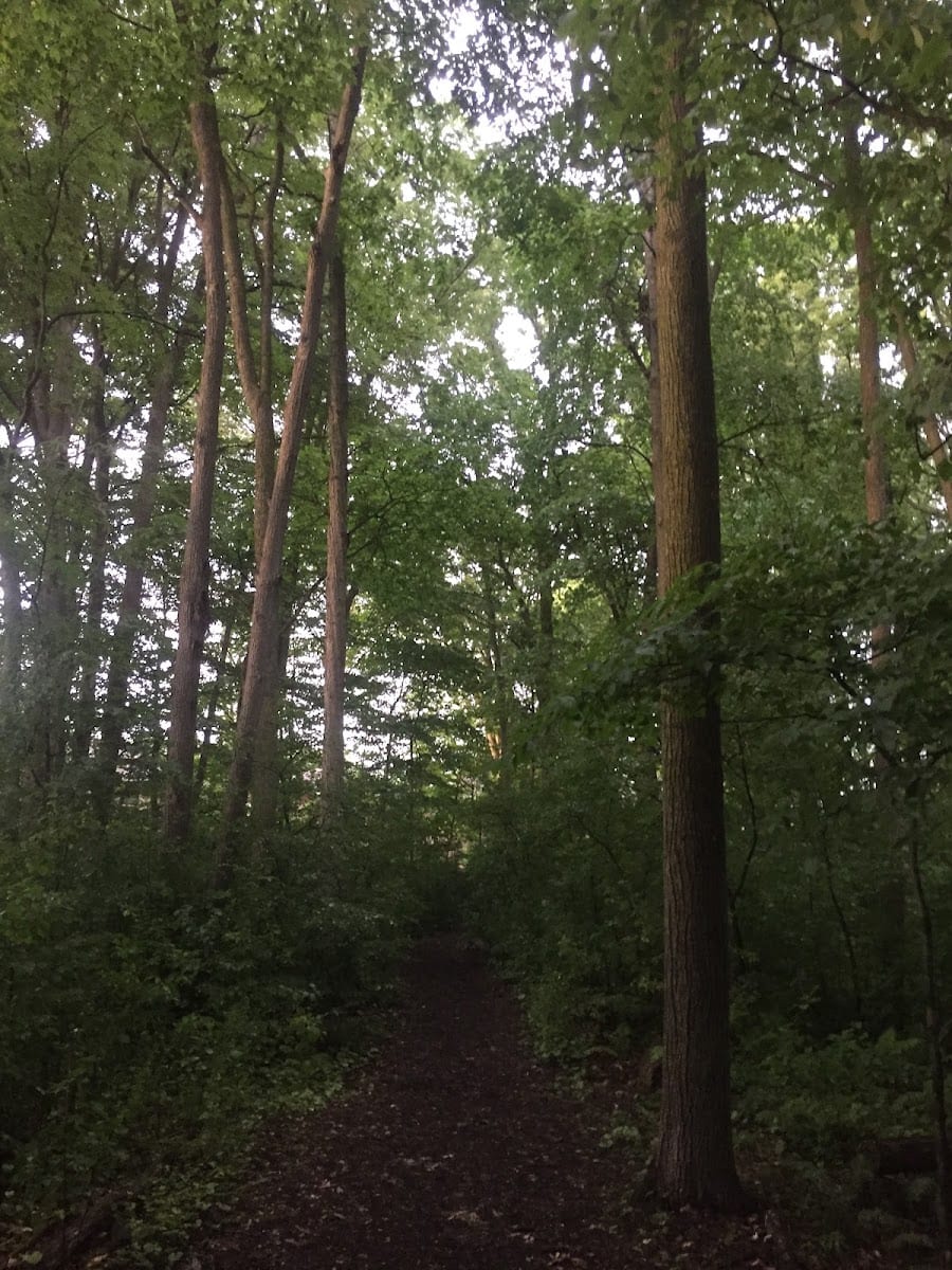 Phillips Park, photo 3