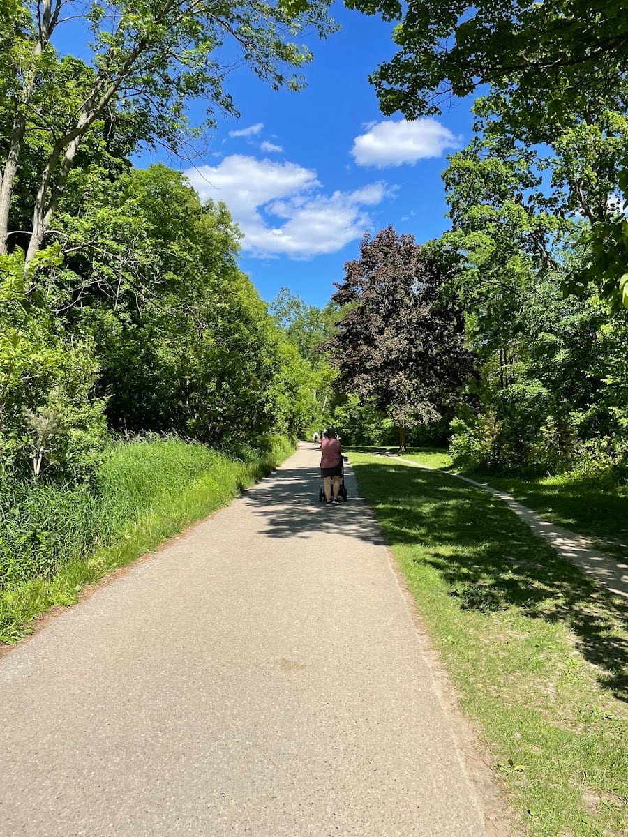 Coxwell Ravine Park