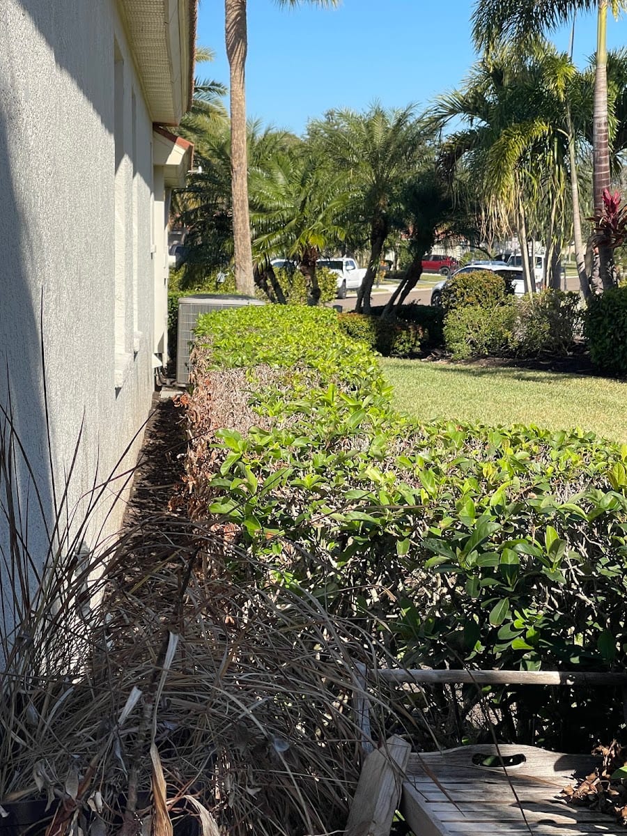 Rick's Roof Cleaning & Painting, Inc., photo 2
