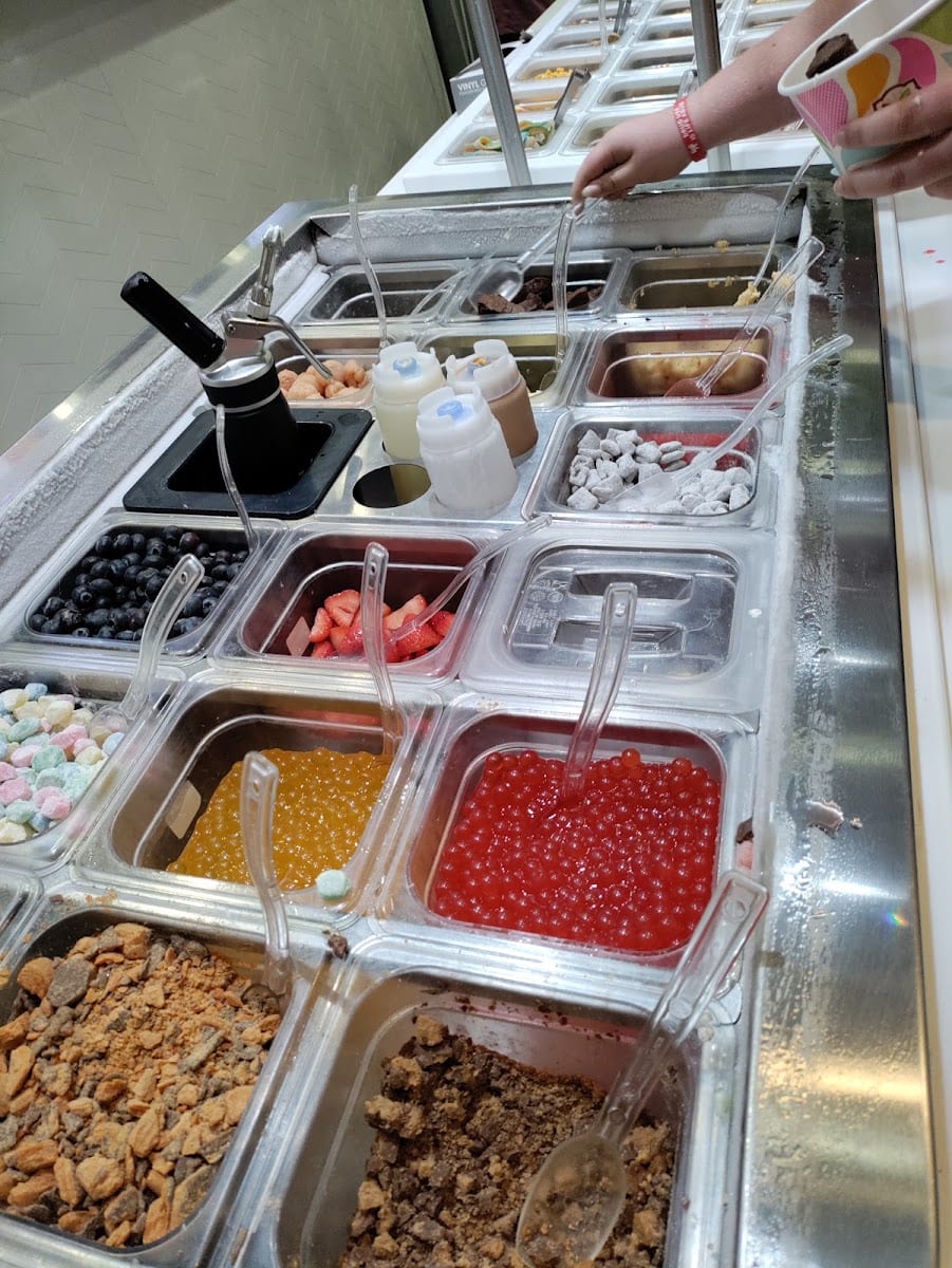 Yogurtland Cypress, photo 4