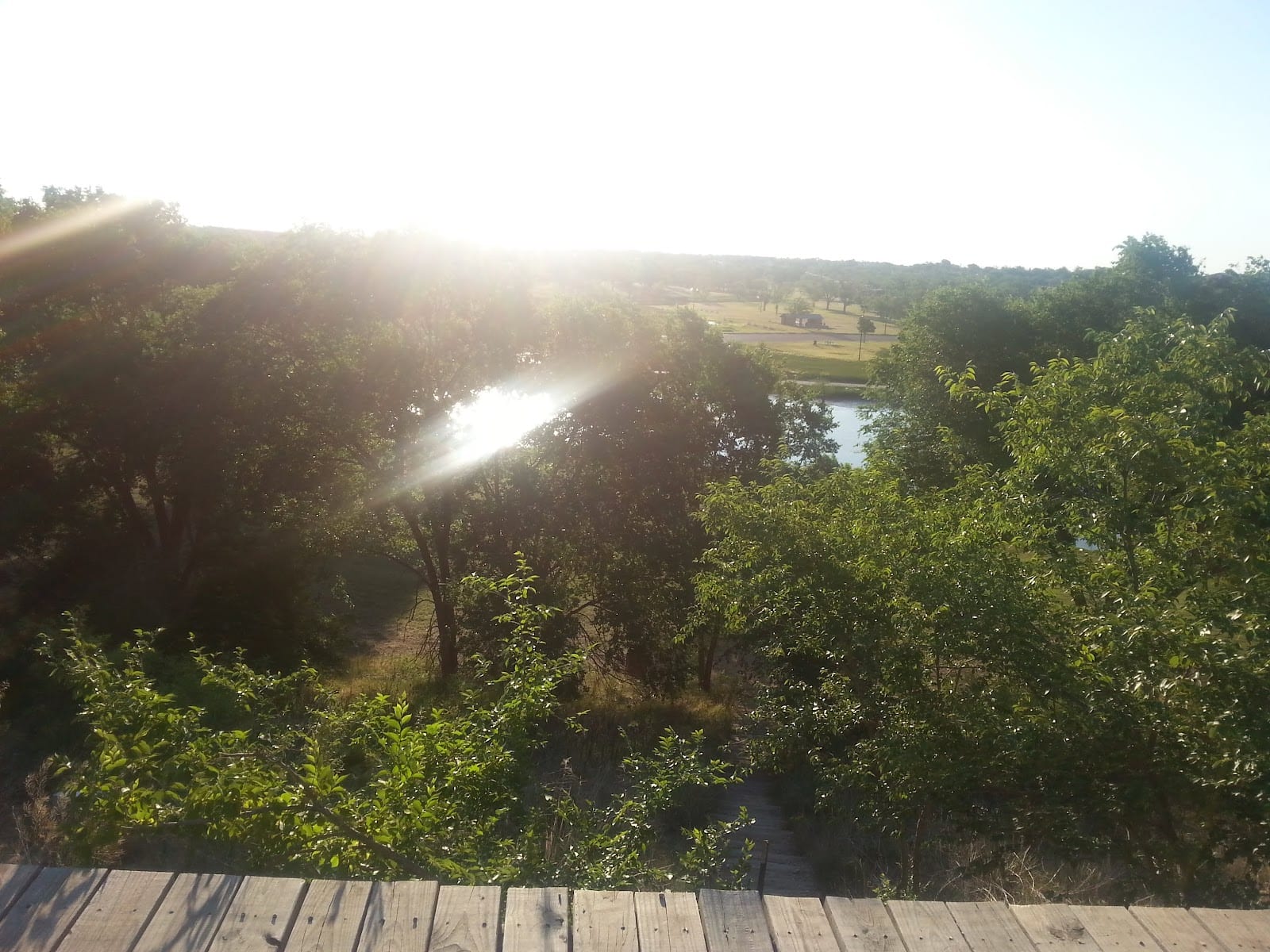 MacKenzie Disc Golf Course, photo 3