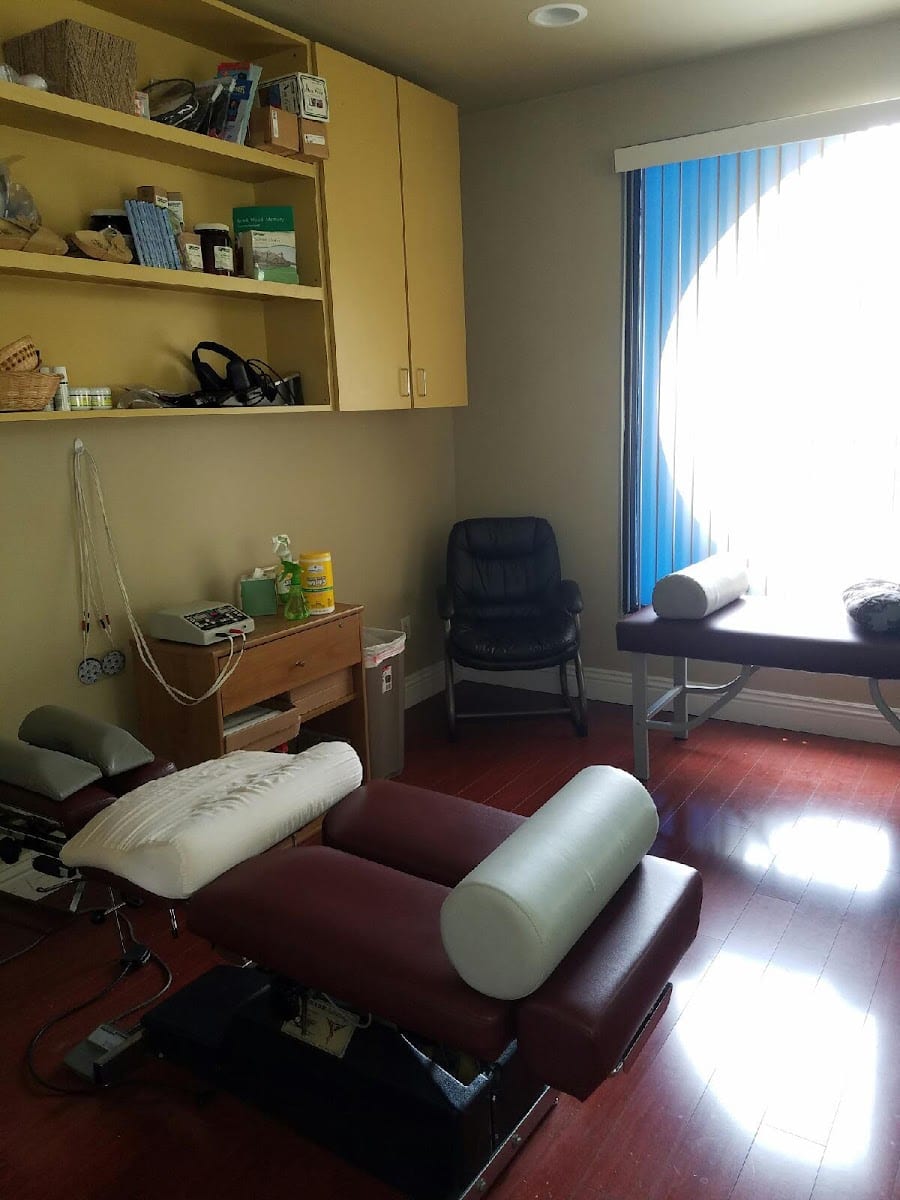 Dr. Maria A Giacalone, DC