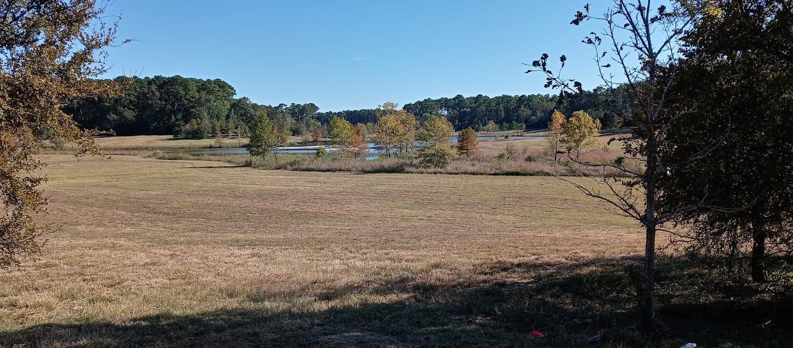 Halbert Park, photo 3