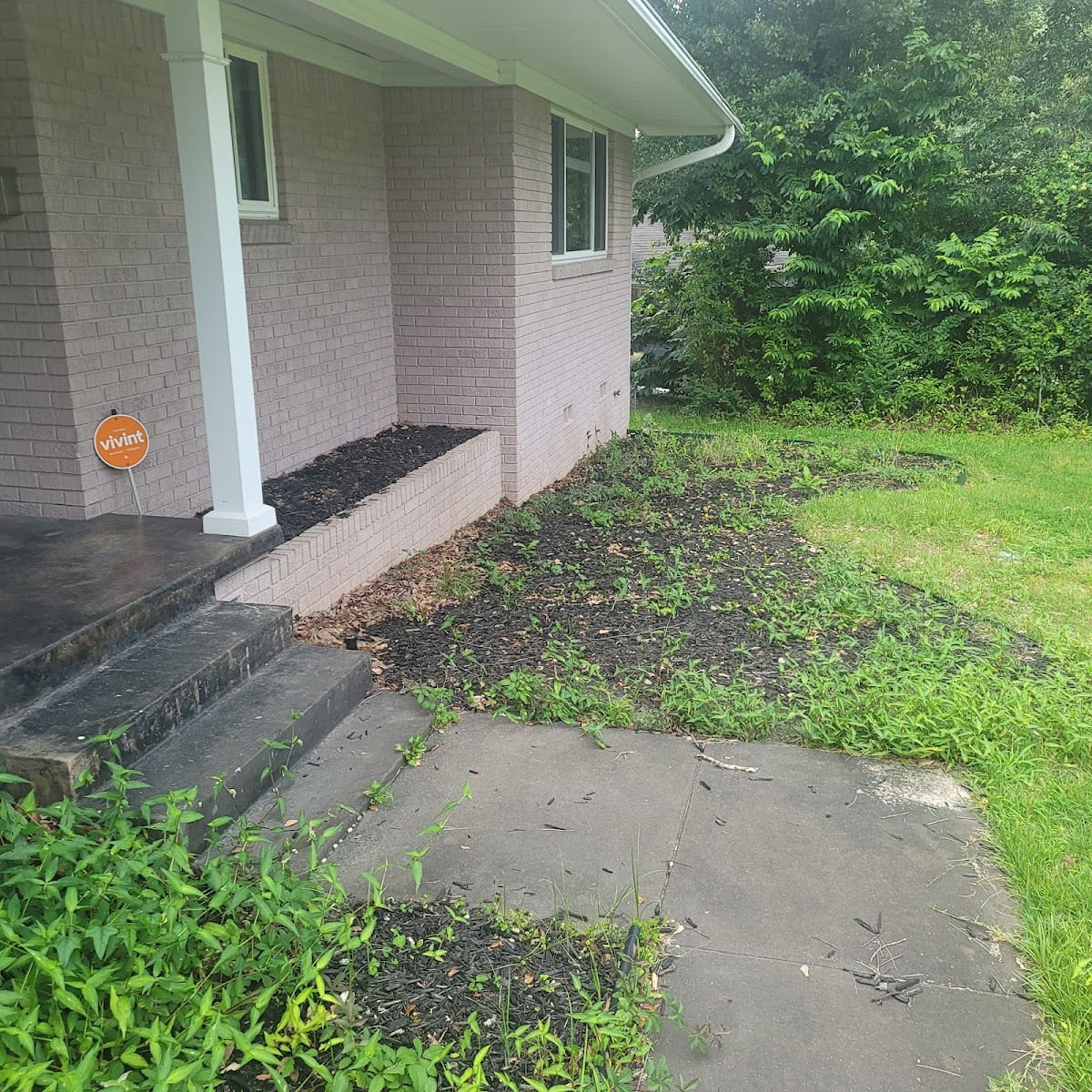 Jones Landscaping & Lawn Services