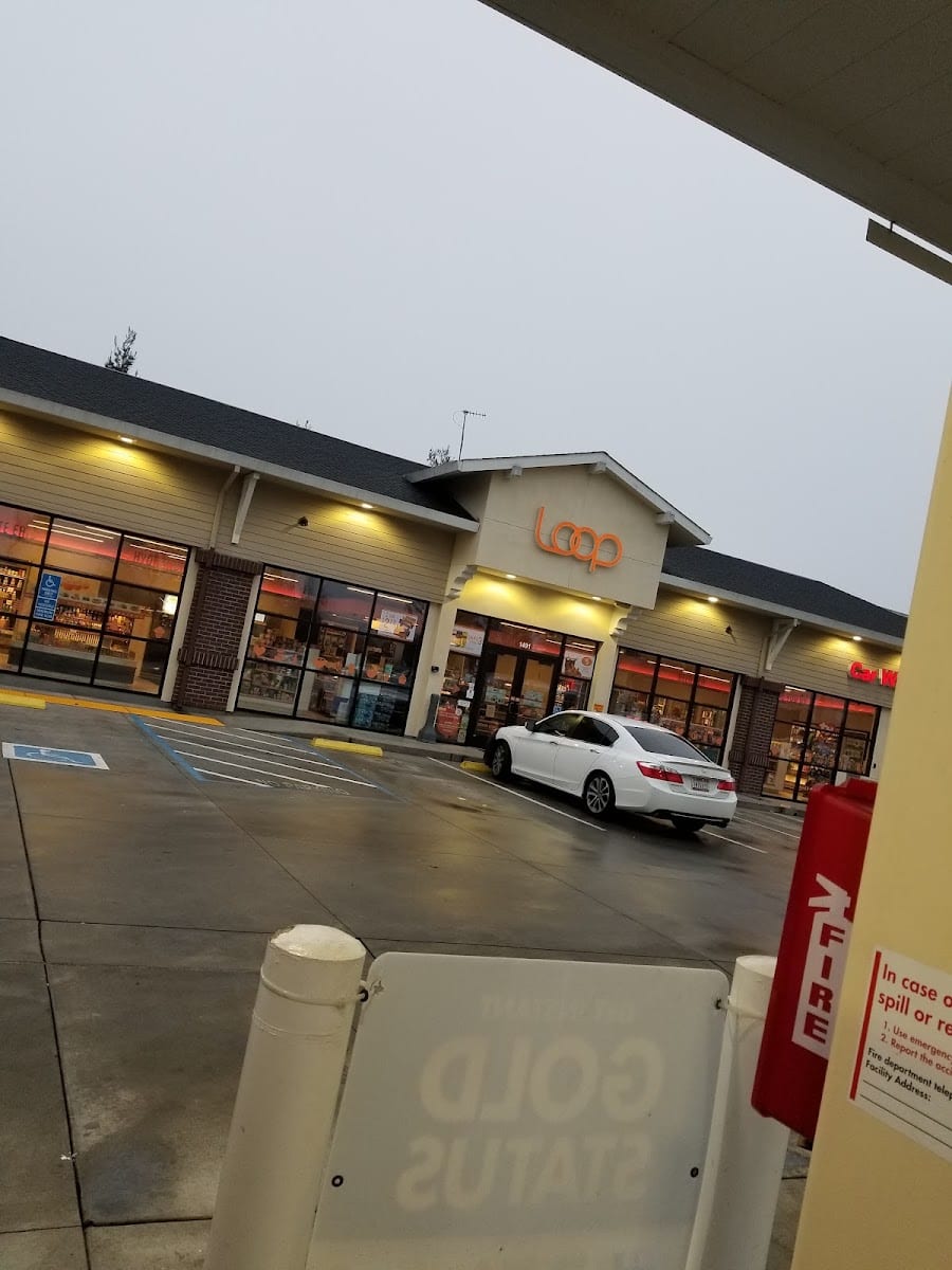 Shell, photo 4
