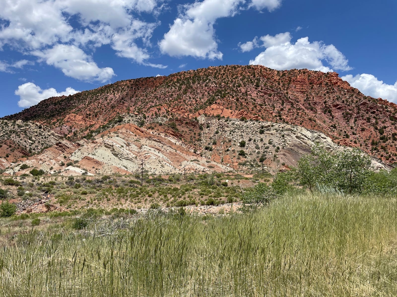 Cedar Canyon Trailhead