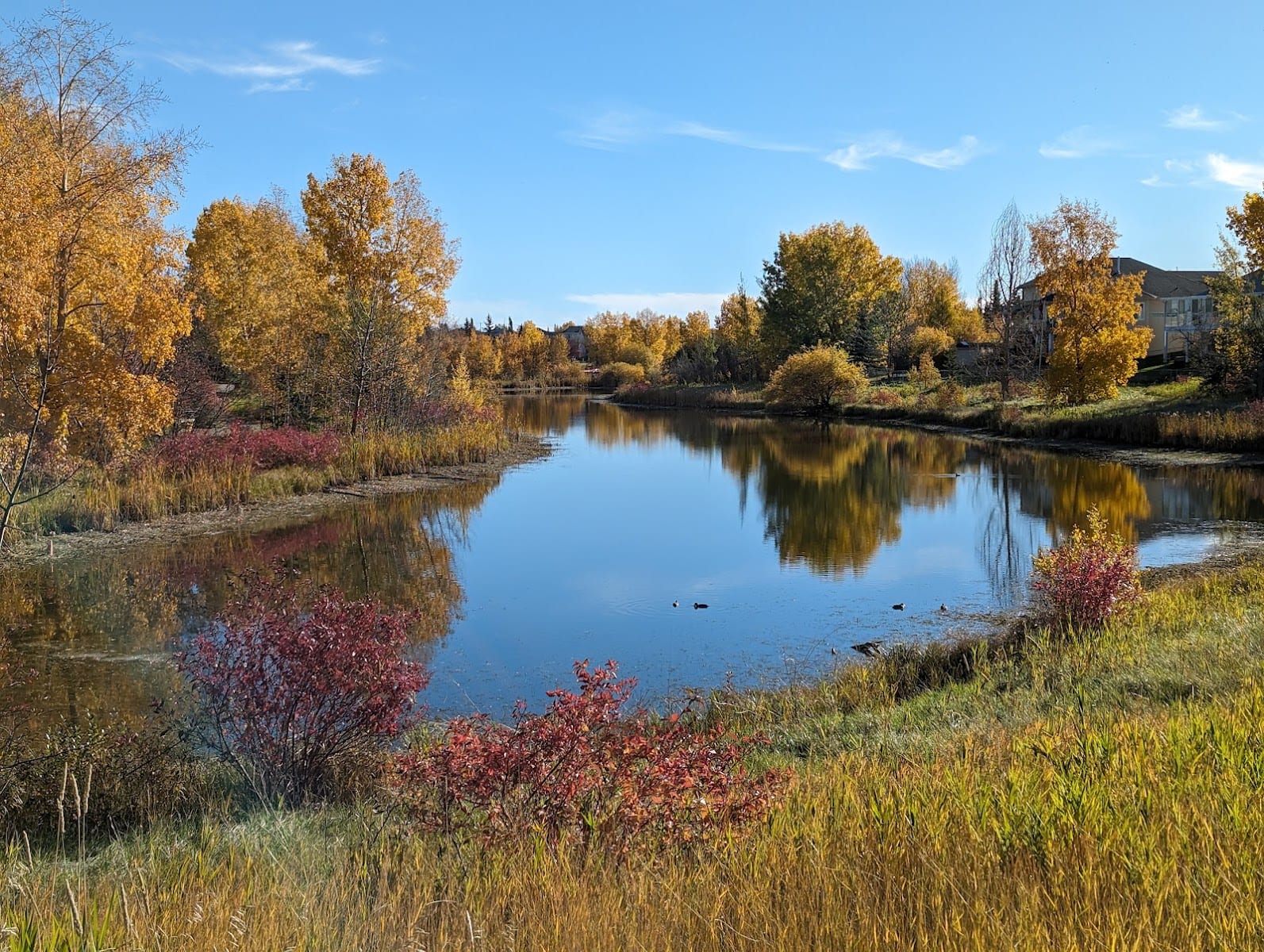 Clarkdale Meadows Pond