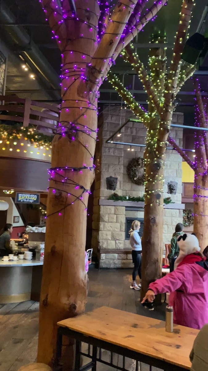 The Grove Restaurant & Bar, photo 3