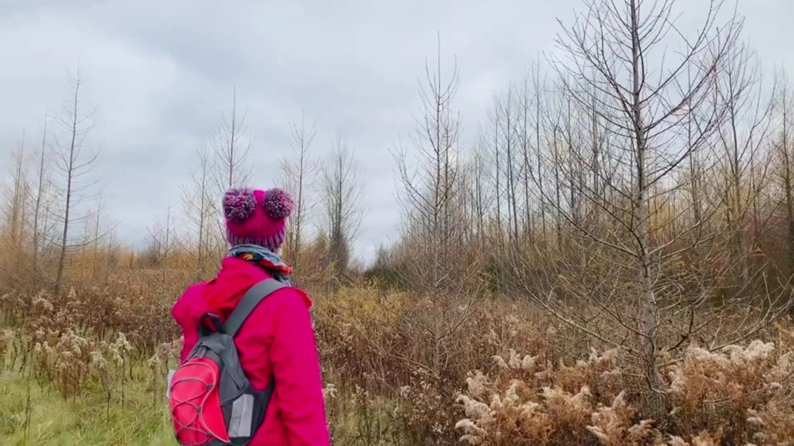 Oak Ridges Trail, photo 2