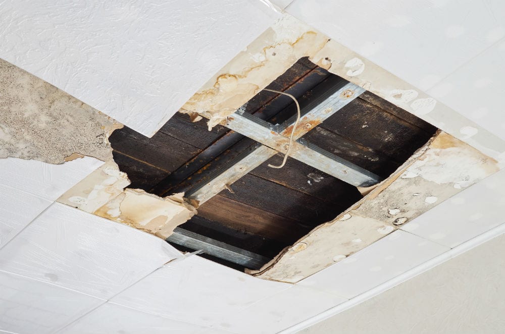 SuperBest Water Damage & Flood Repair Summerlin, photo 2