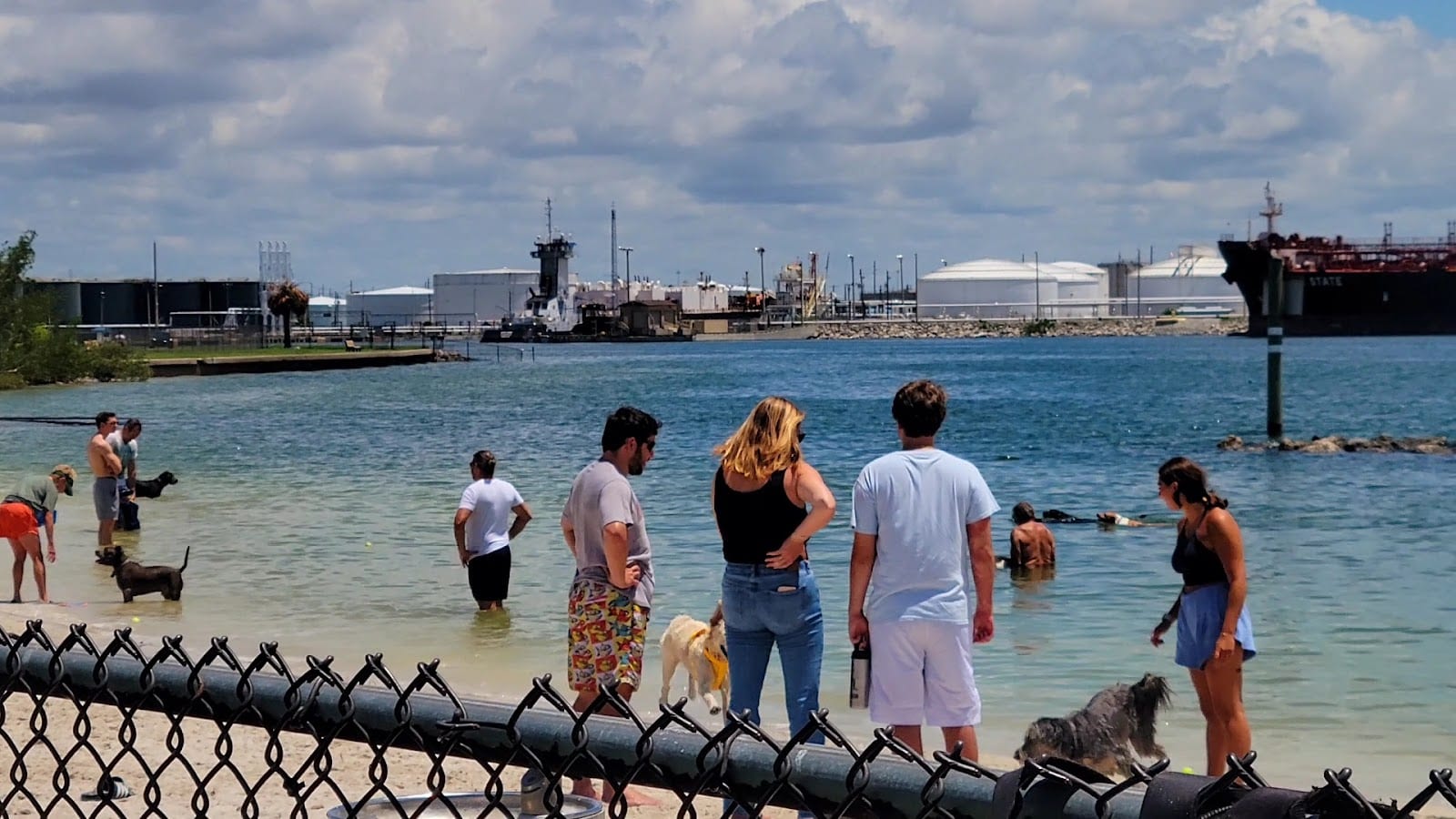 Davis Island Beach, photo 2