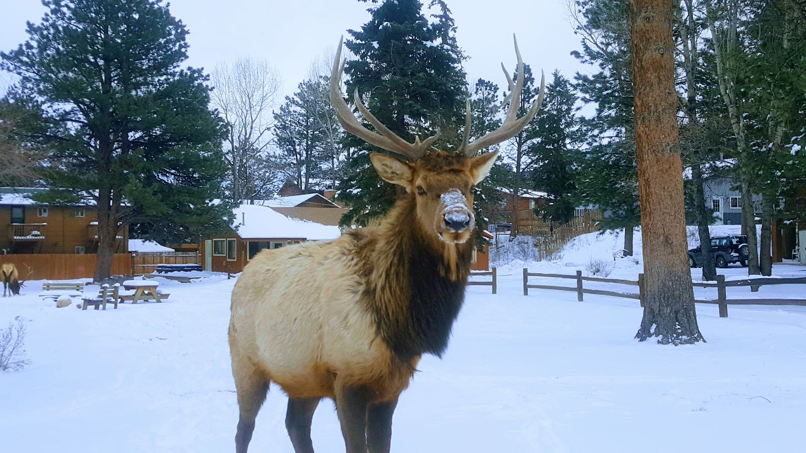 Estes Park Retreat