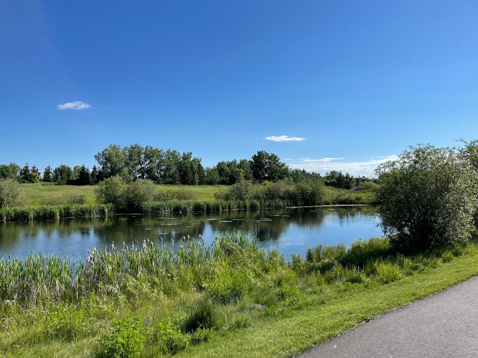 Ball Lake Park