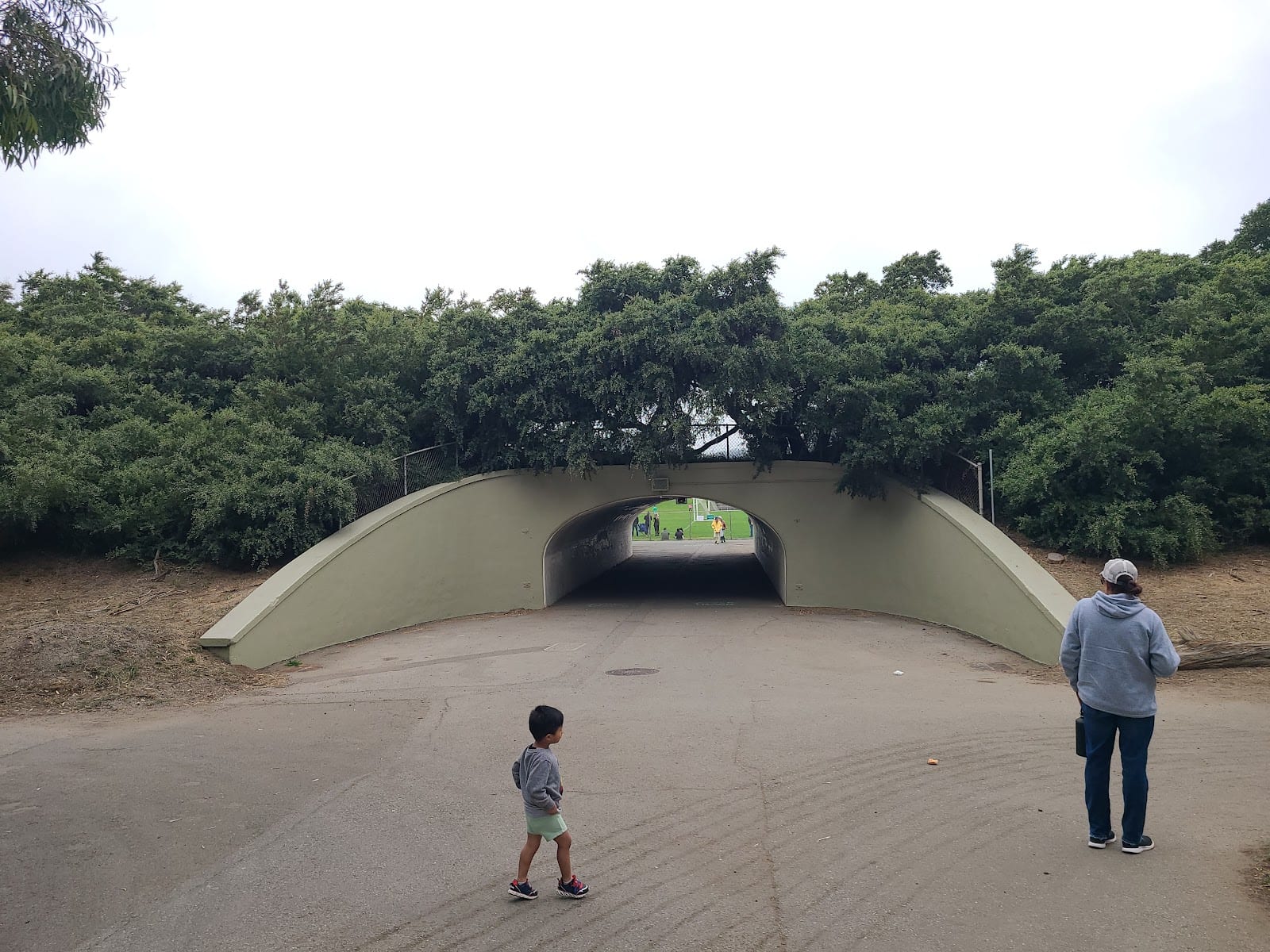 Golden Gate Park Polo Field, photo 3