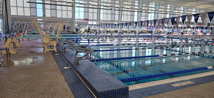 Texas Elite Swimming