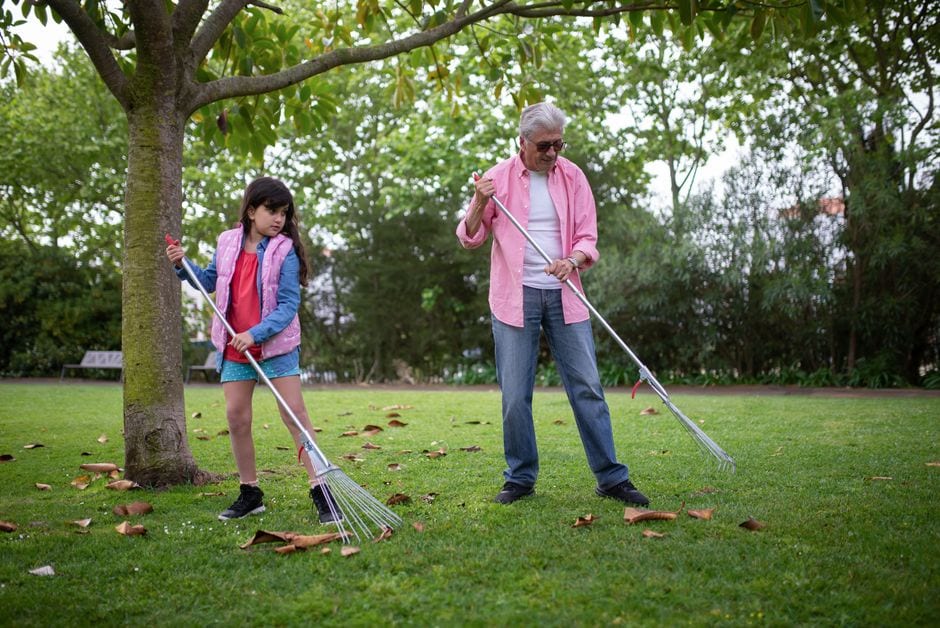 Illustrative stock photo of a grandfather and granddaughter raking autumn leaves, not an Urbana collection crew or local property.