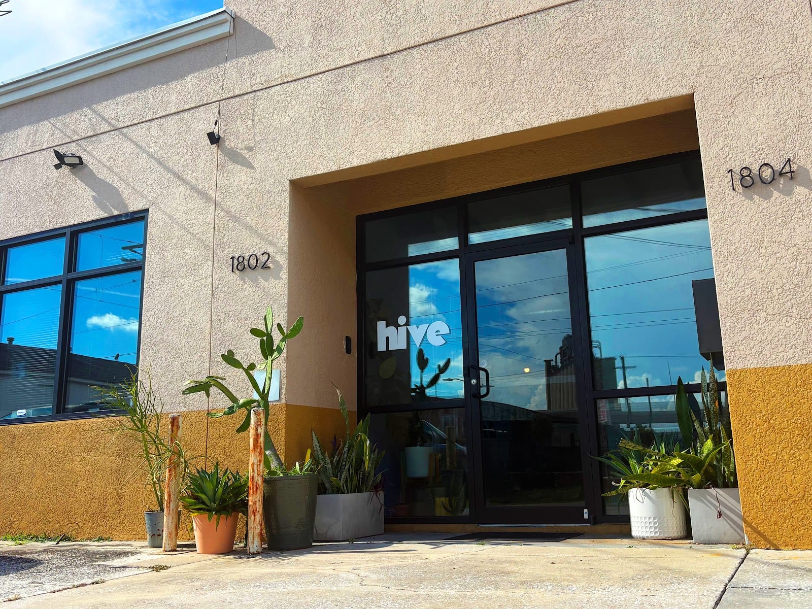Ybor Hive, photo 4