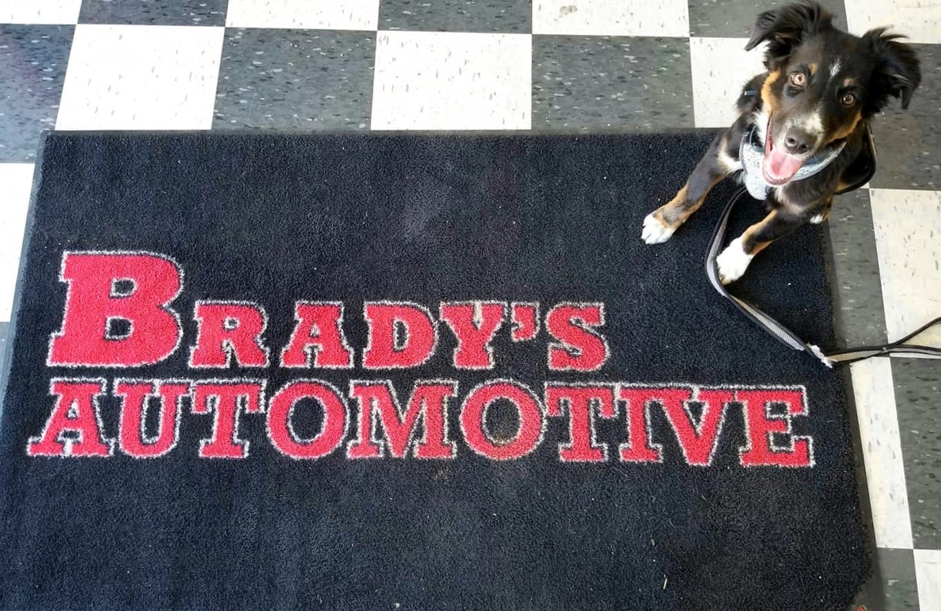 Brady's