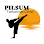 Pilsum Taekwondo Center