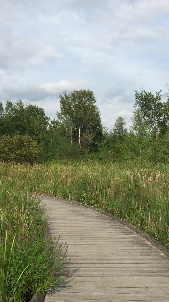 Parker Park, photo 2