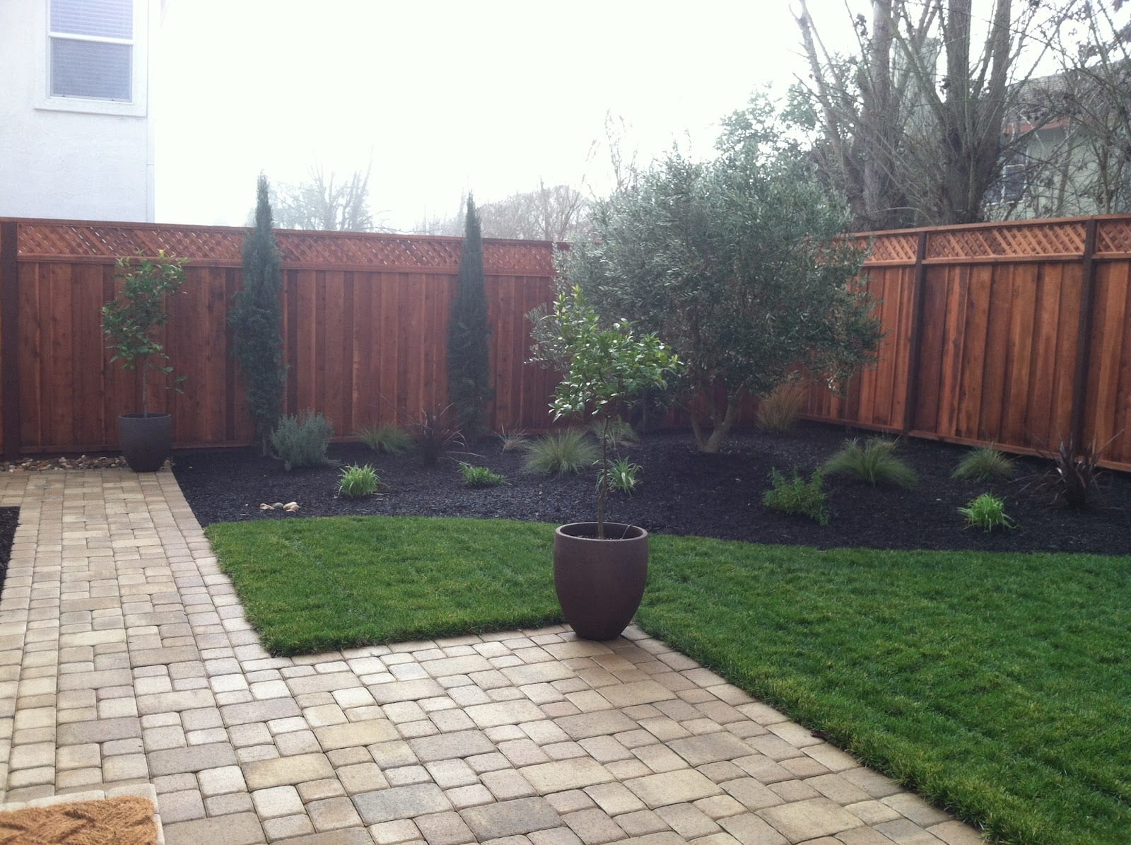 Napa Valley Lawn & Garden Co., photo 4