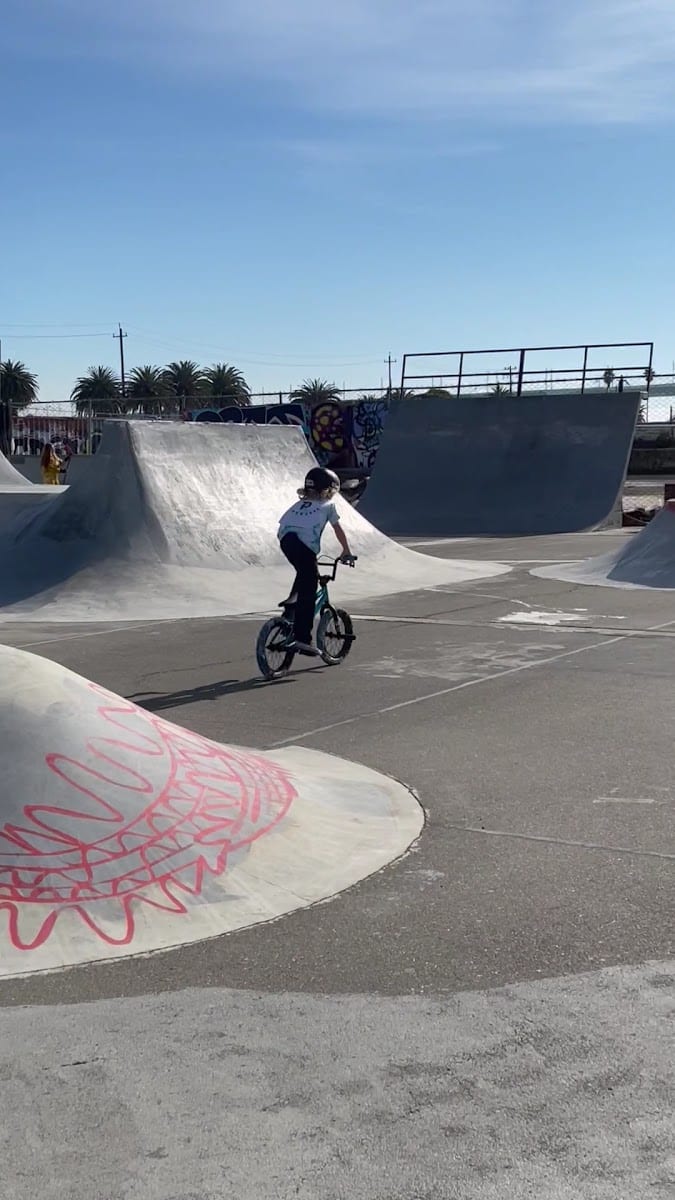 Treasure Island Skatepark, photo 3