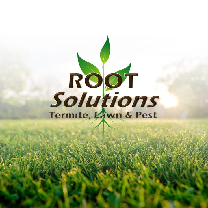 Root Solutions Termite, Lawn & Pest, photo 2