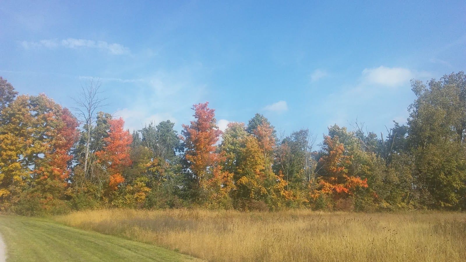 Salomon Farm Park