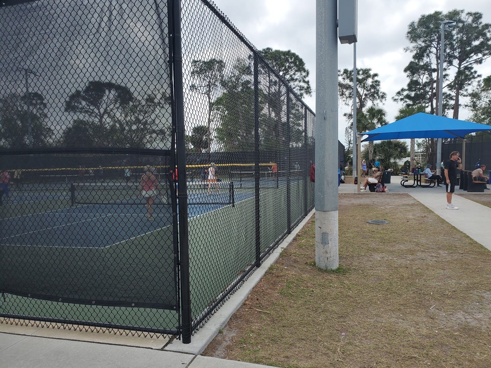 Sarasota Pickleball Club, photo 3