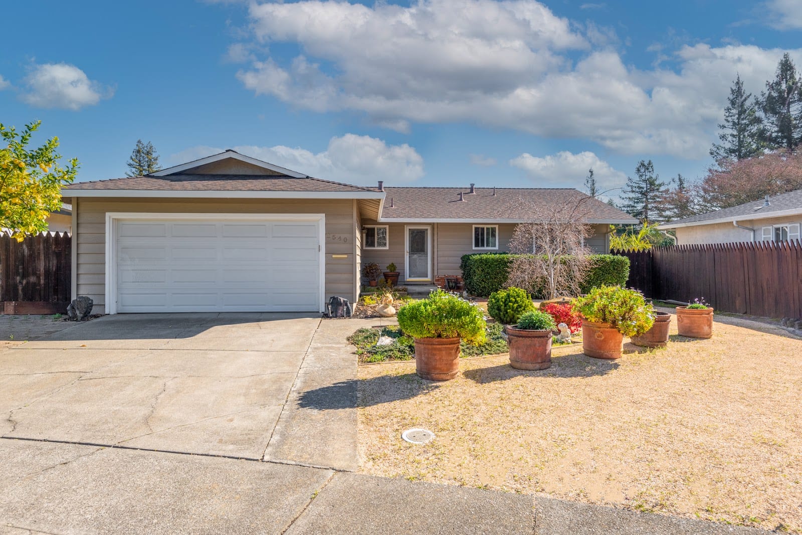 Ally Richardson, REALTOR®, Real Estate Agent, photo 3