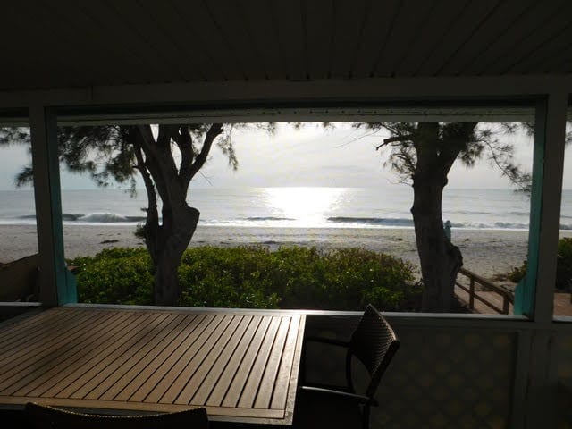 American Realty Of Venice, Inc., photo 3