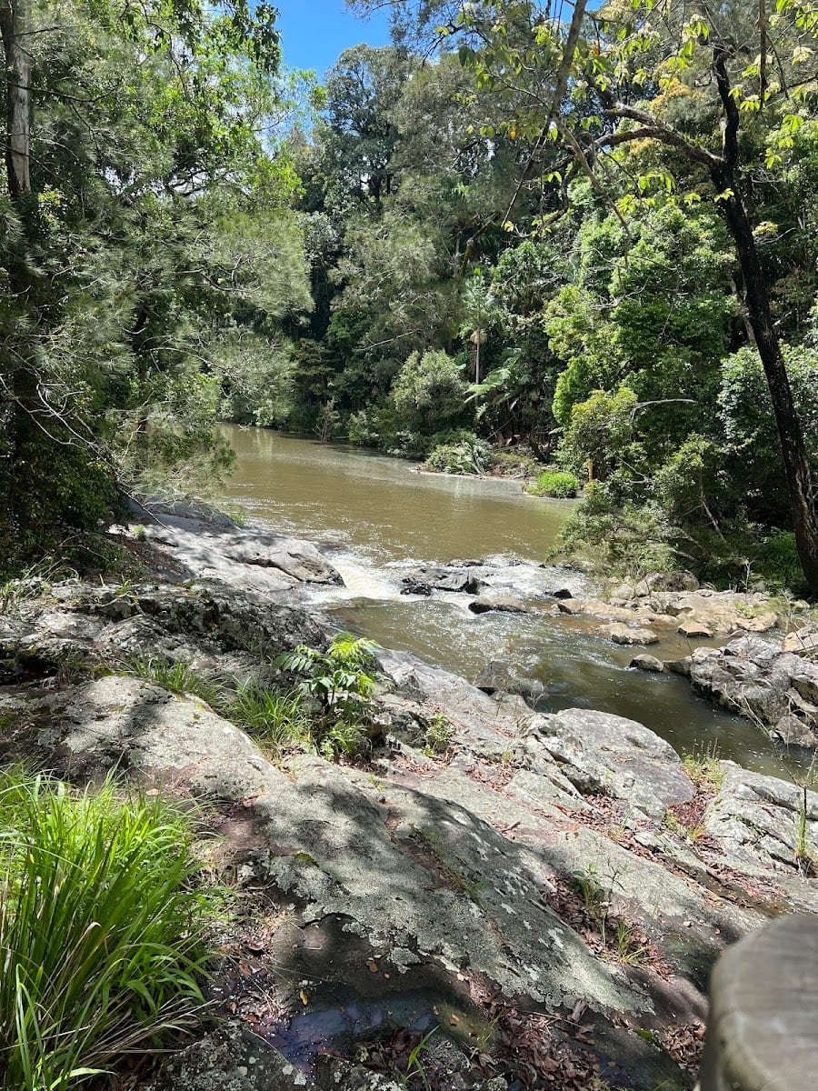 Eungella National Park-Broken River Section