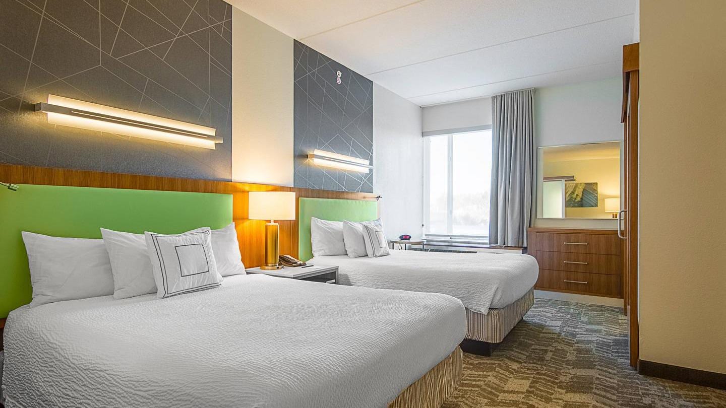 Holiday Inn Express & Suites Tampa-I-75 @ Bruce B. Downs by IHG, photo 4
