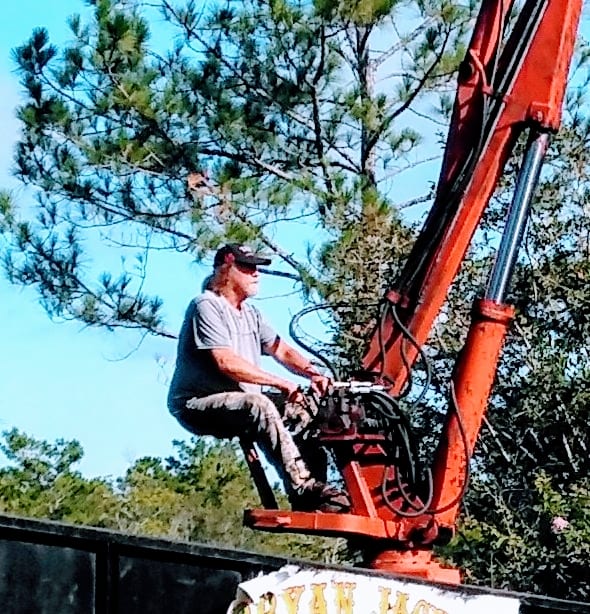 bryan jackson tree service, photo 4