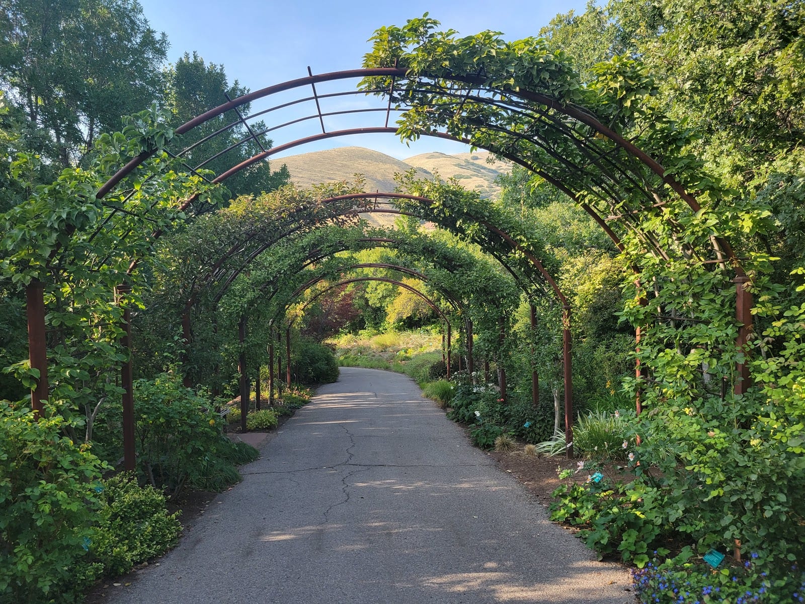 Red Butte Garden and Arboretum